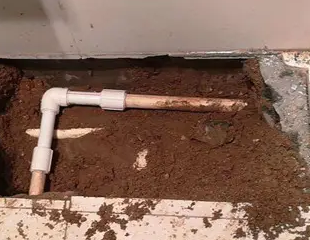 平罗测漏水哪家好