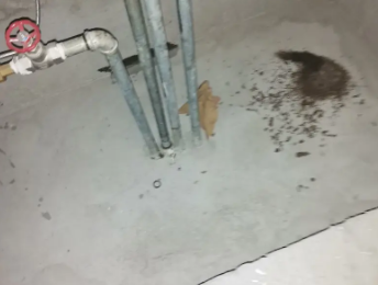 平罗卫生间测漏水价格明细