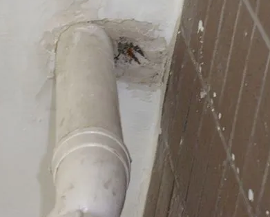 平罗漏水检测哪家好